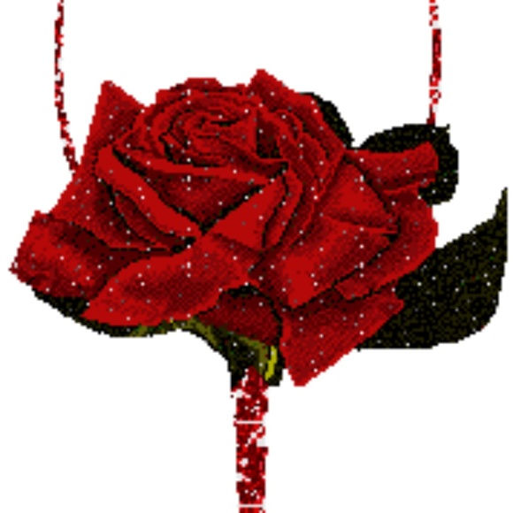 Meet your Posher, Shellbie - Picture 1 of 1